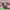 https://res.cloudinary.com/billionhands/image/upload/v1776747303/items/nkrtkvszybqhtyvcyf8w.jpg-3cover
