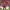 https://res.cloudinary.com/billionhands/image/upload/v1776747310/items/tkciofmfzcacqvk07oql.jpg-2cover