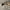 https://res.cloudinary.com/billionhands/image/upload/v1776747857/items/l2hutyjz5gzwxcf4vxoh.jpg-1cover