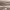 https://res.cloudinary.com/billionhands/image/upload/v1776749006/items/k14ahniu1xuhtzud14mc.jpg-0cover