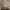 https://res.cloudinary.com/billionhands/image/upload/v1776750549/items/zpxnzcu8xgulyzmopxz2.webp-1cover