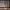 https://res.cloudinary.com/billionhands/image/upload/v1776750551/items/jpwz5lniw5cus3suu9ea.jpg-0cover