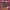 https://res.cloudinary.com/billionhands/image/upload/v1776751676/items/eppit6xp6lnevg3yvwmv.png-2cover