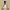https://res.cloudinary.com/billionhands/image/upload/v1776754483/items/znpwssjzaehe9jzoyhmd.jpg-3cover