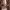 https://res.cloudinary.com/billionhands/image/upload/v1776758416/items/diudqb1gmbgrcxdmwgz3.webp-3cover