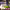 https://res.cloudinary.com/billionhands/image/upload/v1776762152/items/ousfiegitcmvg2z3sgbt.webp-2cover