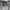 https://res.cloudinary.com/billionhands/image/upload/v1776766270/items/cx8m7va1etzygtypthsd.webp-2cover