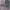 https://res.cloudinary.com/billionhands/image/upload/v1776766471/items/jskncx5ls7yxfdplgamq.jpg-3cover