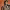 https://res.cloudinary.com/billionhands/image/upload/v1776769366/items/nlrogifvmxg7usf46pdp.webp-3cover