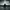 https://res.cloudinary.com/billionhands/image/upload/v1776769370/items/byn0toaktadixdnh8f7d.jpg-2cover