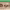 DEICHMANN cover