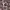 https://res.cloudinary.com/billionhands/image/upload/v1776770376/items/pillaei3l4g1o9m6qlik.jpg-2cover