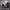 https://res.cloudinary.com/billionhands/image/upload/v1776770380/items/u3rvgmrlzzmwccydh7ln.jpg-1cover