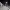 https://res.cloudinary.com/billionhands/image/upload/v1776776619/items/e8fjcysp6pkgn7maaclz.jpg-0cover