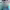 https://res.cloudinary.com/billionhands/image/upload/v1776780686/items/lyldx0agji0jwxsvksmw.webp-0cover