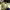 https://res.cloudinary.com/billionhands/image/upload/v1776782389/items/dddloeqsc8dngfpjds1p.jpg-1cover