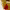https://res.cloudinary.com/billionhands/image/upload/v1776782488/items/g0gcen8u4y3yyca9whtc.png-0cover