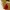 https://res.cloudinary.com/billionhands/image/upload/v1776782489/items/lcwaq0buwcxekgiqedjs.jpg-1cover
