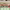 https://res.cloudinary.com/billionhands/image/upload/v1776784402/items/qorqh4znuzcvcmwcirux.jpg-2cover