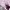 https://res.cloudinary.com/billionhands/image/upload/v1776786238/items/dvv66bfrdvsh1azqgp5s.jpg-3cover