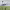 https://res.cloudinary.com/billionhands/image/upload/v1776786661/items/iofe3okq3icewbfzatws.jpg-1cover