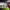 Antoine Semenyo (AFC Bournemouth) - Spectacular effort (2025-2026 season) cover