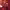 https://res.cloudinary.com/billionhands/image/upload/v1776787193/items/bz3nyafzqz0rpqdcavkq.jpg-1cover