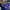 Jose Baxter (Everton) cover