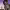 https://res.cloudinary.com/billionhands/image/upload/v1776794527/items/hpdqkqglw55fy77dzt04.jpg-0cover