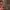 https://res.cloudinary.com/billionhands/image/upload/v1776795040/items/k11goxwhtmogvzpaacdi.jpg-0cover