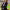 https://res.cloudinary.com/billionhands/image/upload/v1776797192/items/n4bd2cctmjv0pvdrxkxn.jpg-0cover