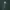Irukandji Box Jellyfish (Carukia barnesi) cover