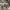 https://res.cloudinary.com/billionhands/image/upload/v1776799398/items/kc2vlg82fpuywmfwlcve.jpg-2cover