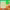 https://res.cloudinary.com/billionhands/image/upload/v1776800960/items/ngsczilpynjtfwavwn1q.png-2cover