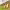 https://res.cloudinary.com/billionhands/image/upload/v1776800970/items/sas3yqe1qotemqqxiwyg.avif-0cover
