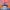 https://res.cloudinary.com/billionhands/image/upload/v1776800975/items/srz0f7naxvm3x11xuyir.jpg-3cover