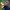https://res.cloudinary.com/billionhands/image/upload/v1776801749/items/lemnc4neztr4f8ywfco8.webp-3cover