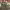 https://res.cloudinary.com/billionhands/image/upload/v1776803787/items/dcu2nkyiglgmxcangyzw.jpg-0cover