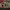 https://res.cloudinary.com/billionhands/image/upload/v1776803788/items/vcpnxk2oolsmz14kdcxl.webp-1cover