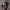 https://res.cloudinary.com/billionhands/image/upload/v1776803979/items/vchv0wmusvacwd0hoa04.webp-0cover