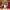 https://res.cloudinary.com/billionhands/image/upload/v1776808291/items/imsec8o0xufafbhl5ddt.jpg-2cover