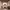 https://res.cloudinary.com/billionhands/image/upload/v1776814325/items/dht14heuxvnu36tzqd9m.avif-2cover