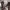 https://res.cloudinary.com/billionhands/image/upload/v1776816019/items/nlvcqiqttucarmo7vpmz.avif-2cover