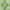 https://res.cloudinary.com/billionhands/image/upload/v1776816095/items/wsm7cu8xudcbrynivcuk.jpg-2cover