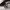 https://res.cloudinary.com/billionhands/image/upload/v1776818027/items/gvnlt9qwu88zlng8xath.jpg-0cover