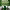https://res.cloudinary.com/billionhands/image/upload/v1776821676/items/rqcoz7cavefpsf4xaj2g.jpg-3cover