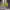 https://res.cloudinary.com/billionhands/image/upload/v1776821684/items/ihfsqtow918sulqtbnza.jpg-3cover