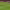 Robin van Persie vs. Aston Villa (2013) cover