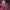 https://res.cloudinary.com/billionhands/image/upload/v1776823545/items/npyjglsnyzfsypjdoexs.jpg-0cover