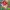 https://res.cloudinary.com/billionhands/image/upload/v1776823858/items/ygxqfsfvvzzyzo5f627s.jpg-0cover